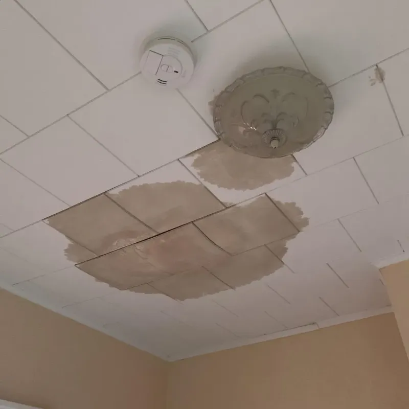 Ceiling Water Damage Repair in Catawba County, NC
